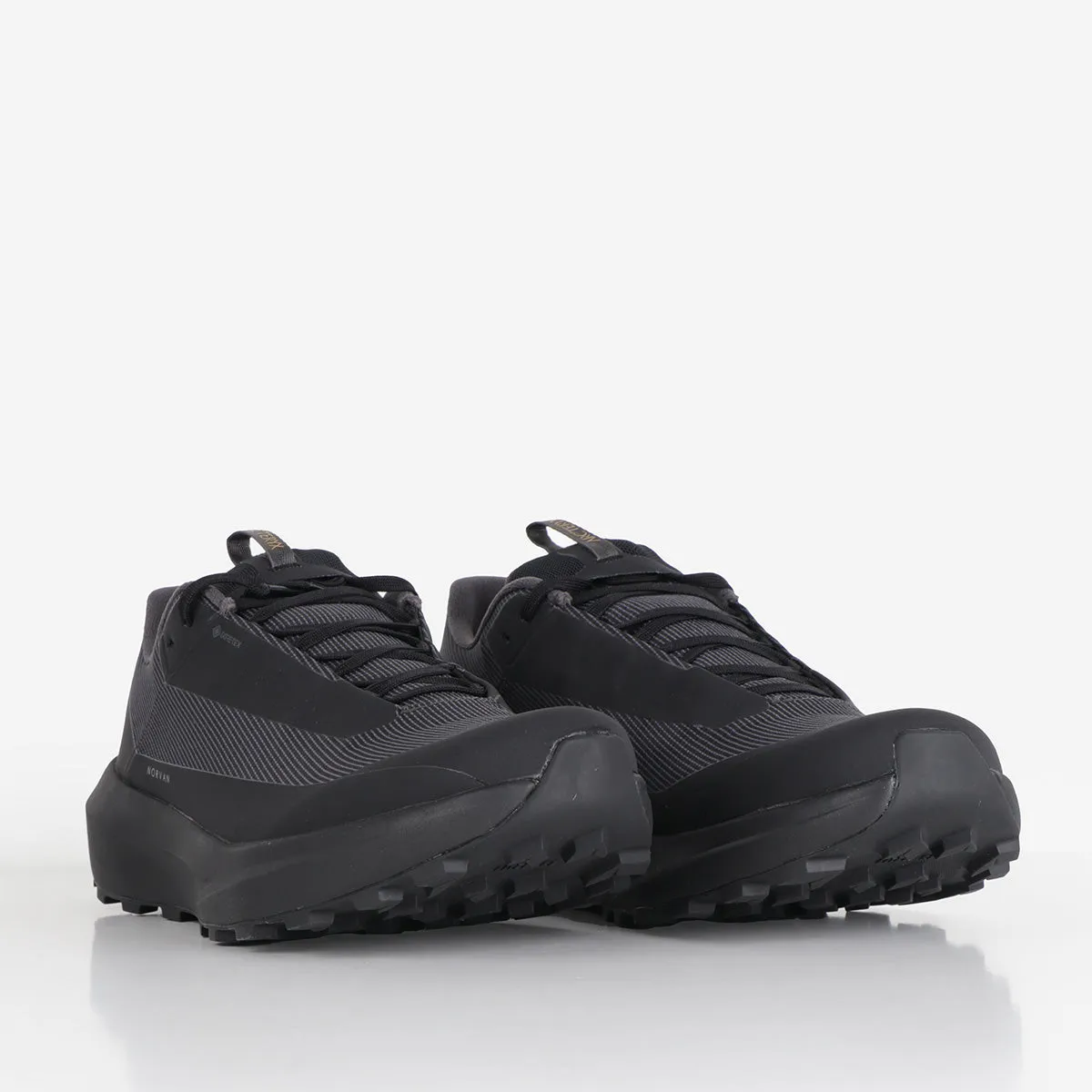 Arc'teryx Norvan LD 4 GTX Shoes