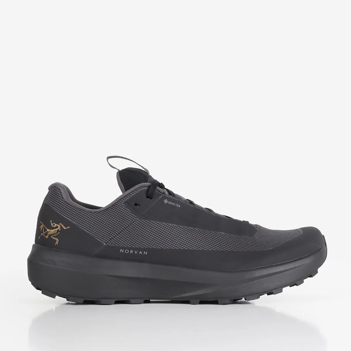 Arc'teryx Norvan LD 4 GTX Shoes