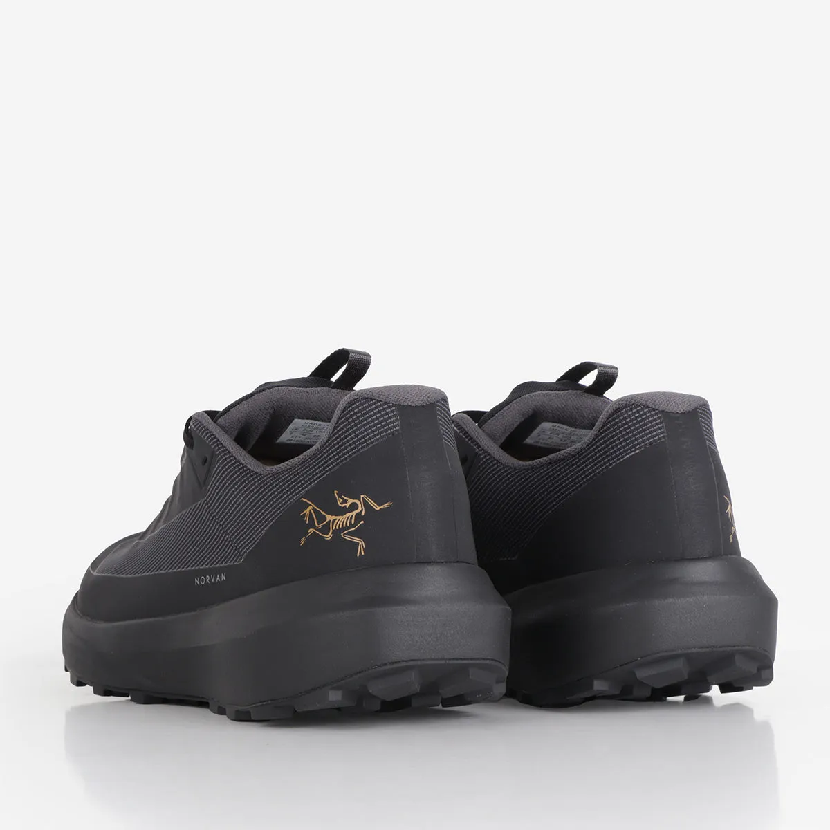Arc'teryx Norvan LD 4 GTX Shoes